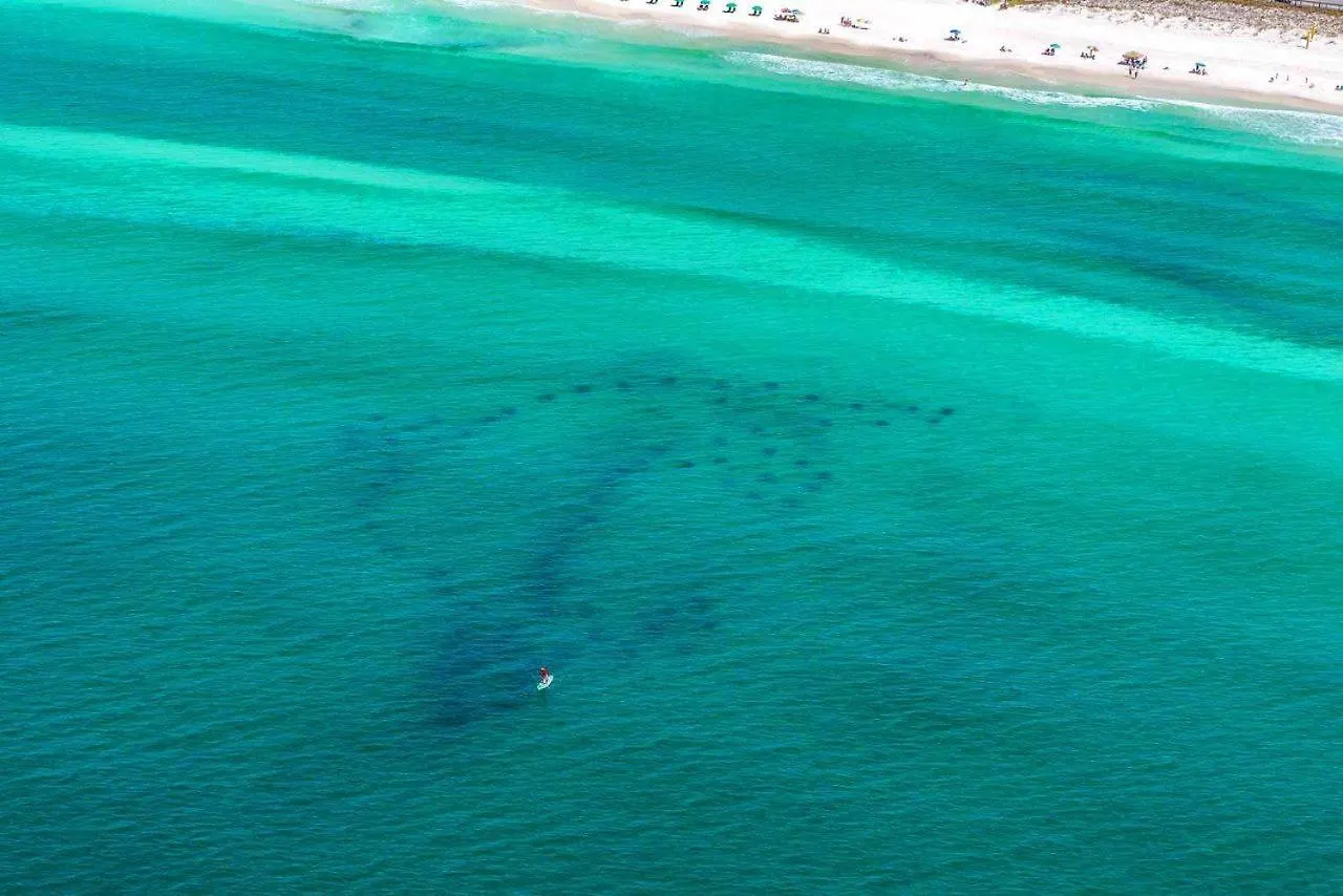 Destin Dory Villa 0*,  United States